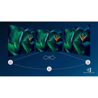 Philips Brilliance 438P1/75 43" | 4K UHD 3840 x 2160 | 16:9 | 5ms | 75Hz IPS | MultiView P-Line Monitor