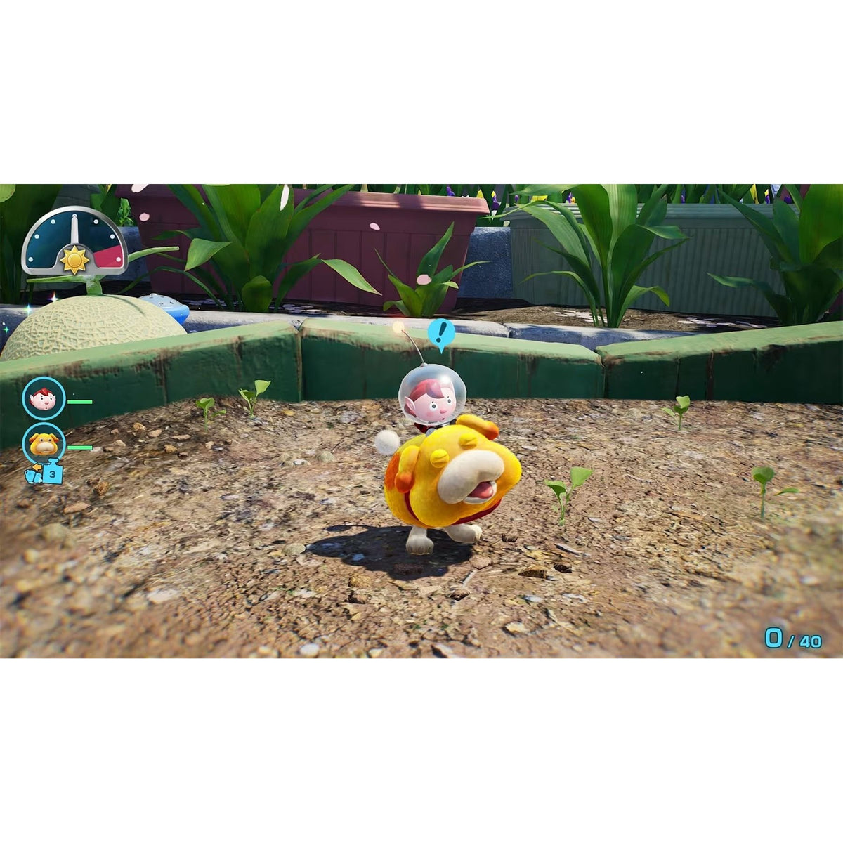 Pikmin 4 - Nintendo Switch 2 Edition + Dandori Academy | Strategy & Exploration Game