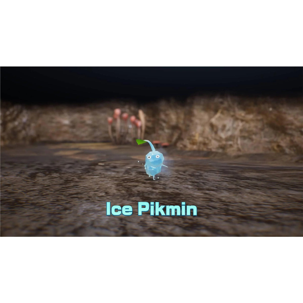 Pikmin 4 - Nintendo Switch 2 Edition + Dandori Academy | Strategy & Exploration Game