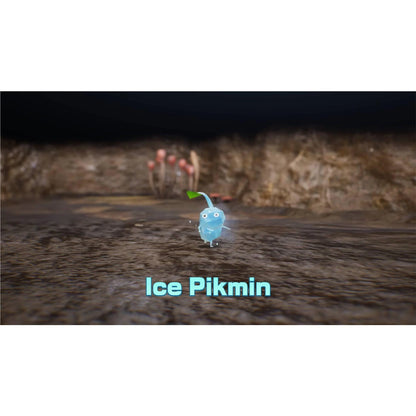 Pikmin 4 - Nintendo Switch 2 Edition + Dandori Academy | Strategy & Exploration Game