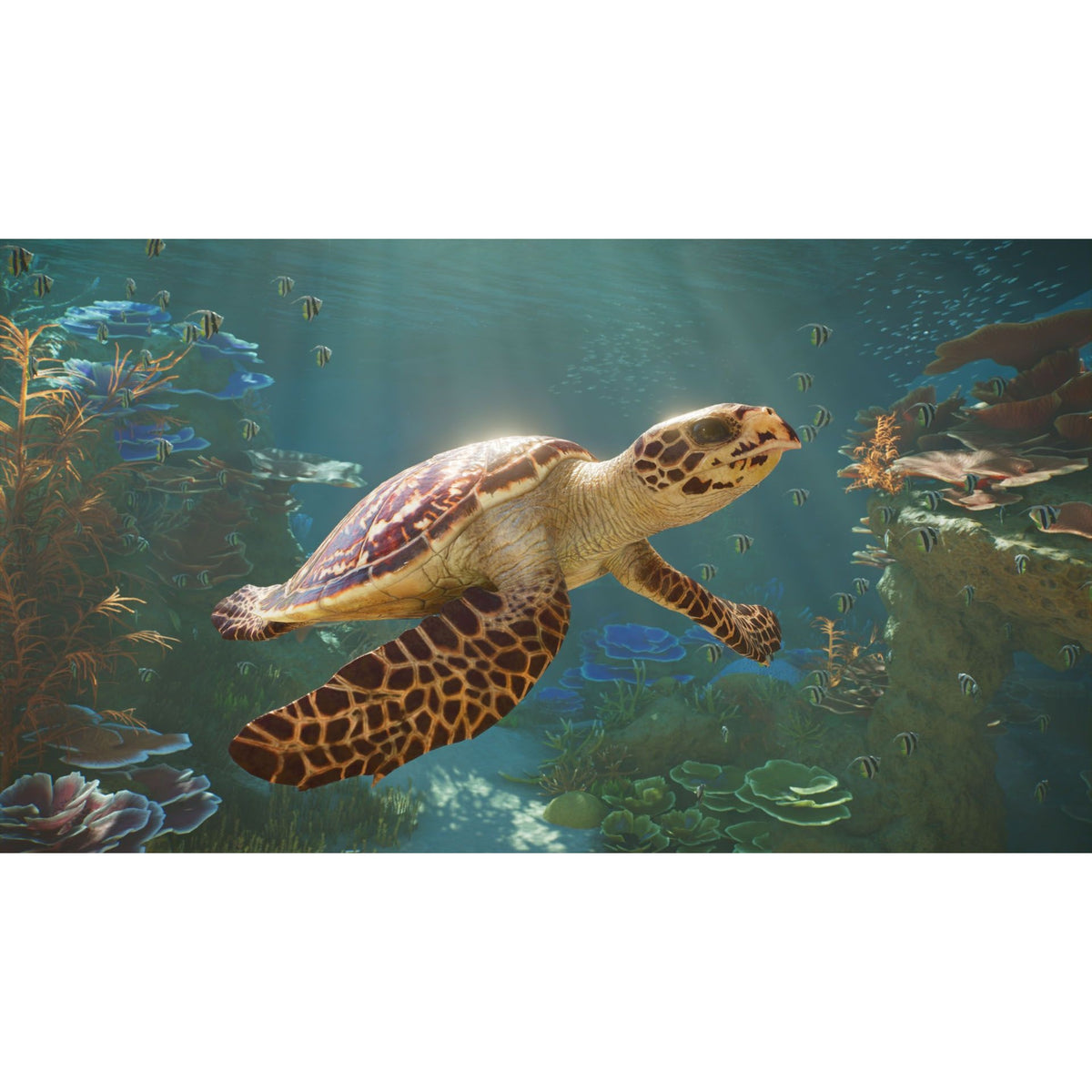 Planet Zoo 2 Sony Playstation 5 - PS5 Wildlife Management & Zoo Simulation Game