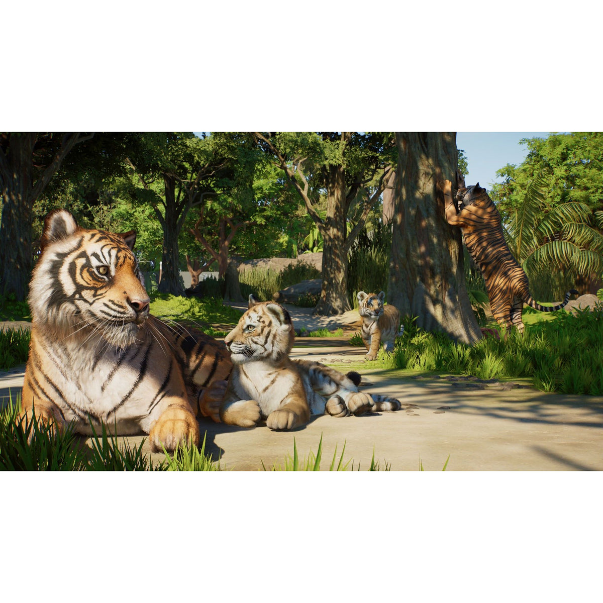 Planet Zoo 2 Sony Playstation 5 - PS5 Wildlife Management & Zoo Simulation Game