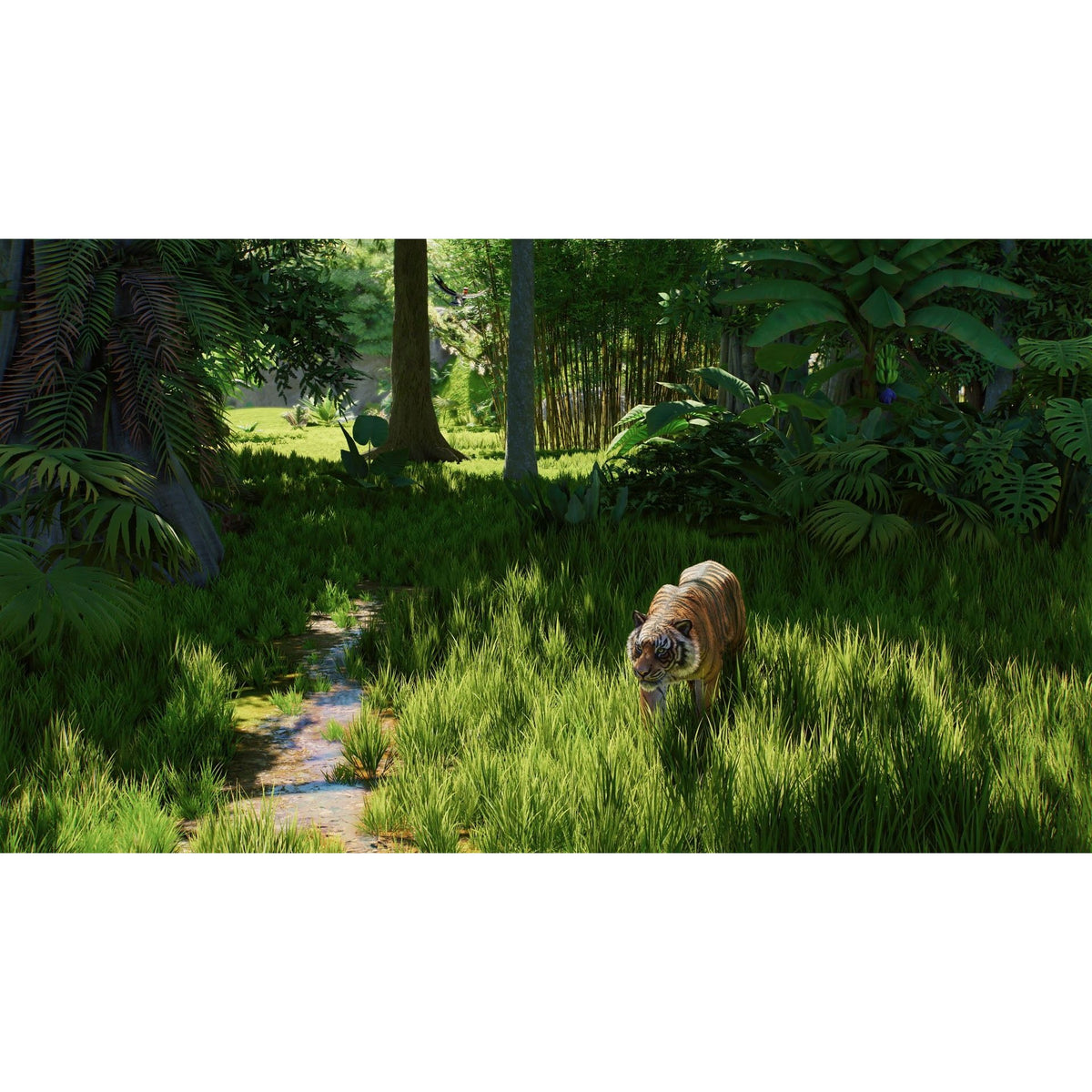 Planet Zoo 2 Sony Playstation 5 - PS5 Wildlife Management & Zoo Simulation Game