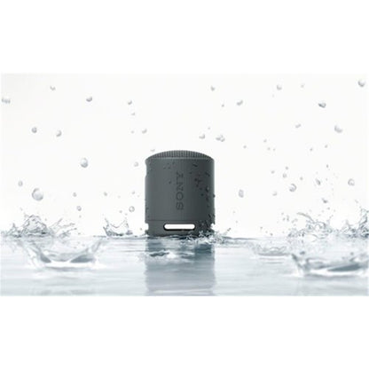 Sony SRS-XB100 Wireless Portable Bluetooth Speaker SRS-XB100L (Blue)