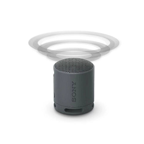 Sony SRS-XB100 Wireless Portable Bluetooth Speaker SRS-XB100L (Blue)