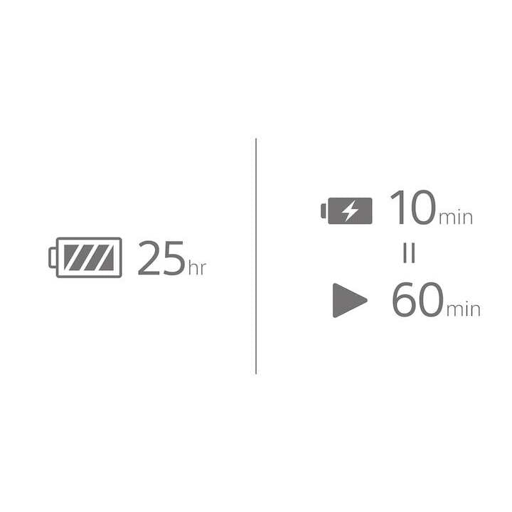 Sony WI-C100B Wireless In-Ear Headphones (Black)