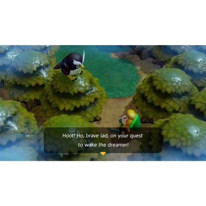 The Legend of Zelda - Link's Awakening Game Nintendo Switch