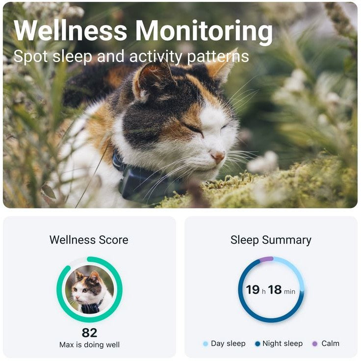 Tractive Cat Mini GPS Tracker Midnight Blue | Subscription Required