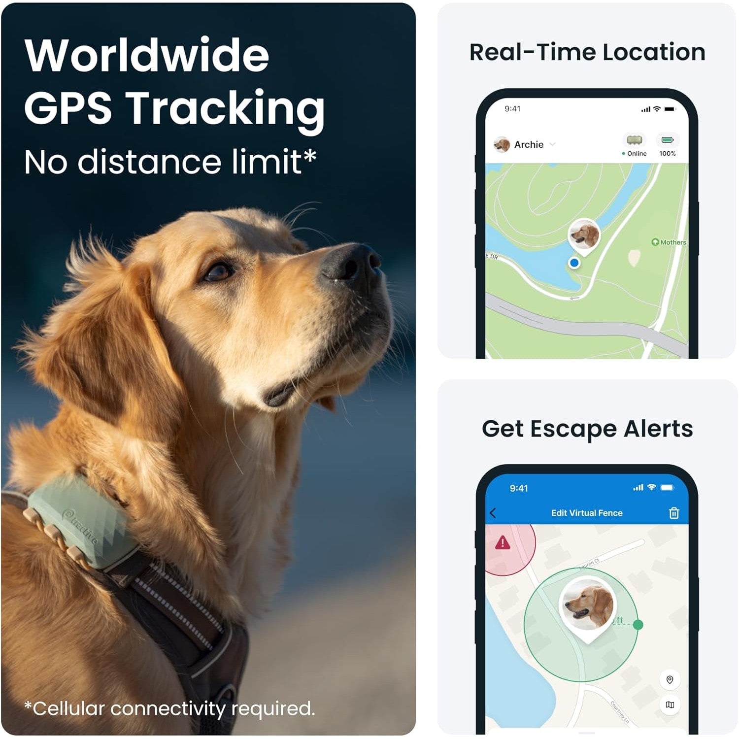 Tractive DOG XL GPS Tracker with Extended Battery Life Green for Dogs | Subscription Required