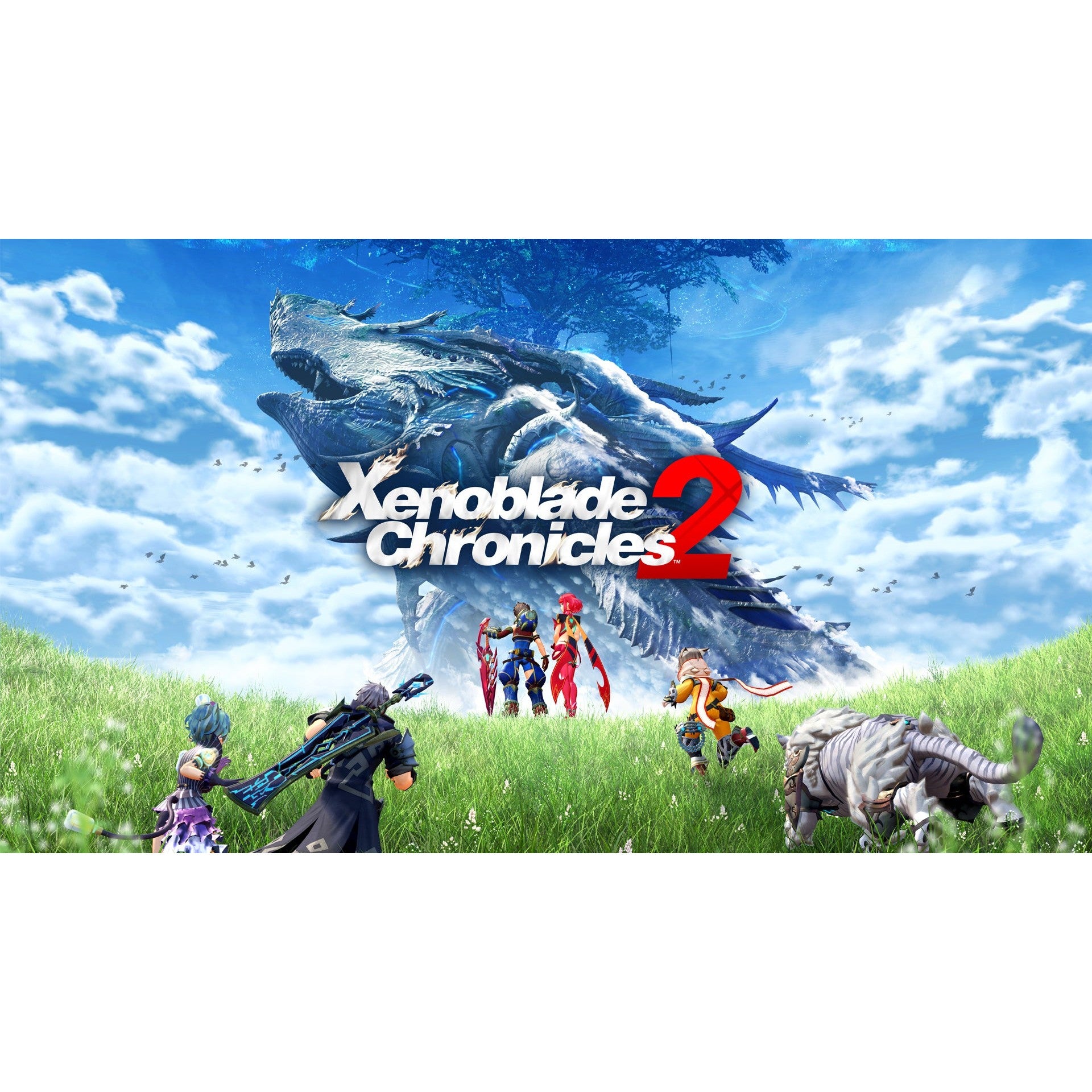 Xenoblade Chronicles 2 - Nintendo Switch 2 Edition Game RPG