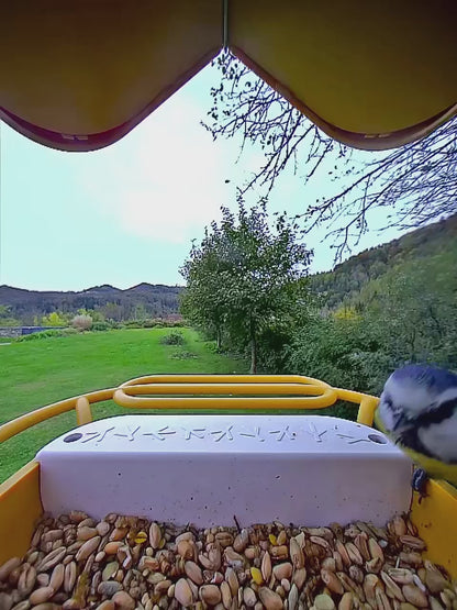 Birdbuddy Pro Solar Smart Bird Feeder with Solar Powered Roof and 2K 1440p AI Camera (Blue)