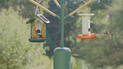 Birdbuddy Pro Solar Smart Bird Feeder with Solar Powered Roof and 2K 1440p AI Camera (Blue)