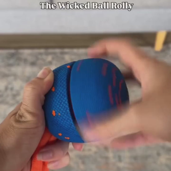 Cheerble Wicked Ball Rolly Interactive Dog Ball Smart Dog Toy (Royal Blue) - Video 1