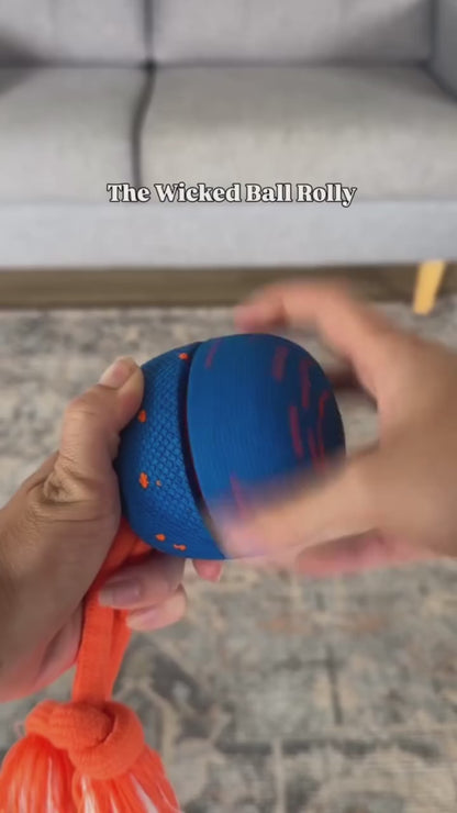 Cheerble Wicked Ball Rolly Interactive Dog Ball Smart Dog Toy (Royal Blue) - Video 1