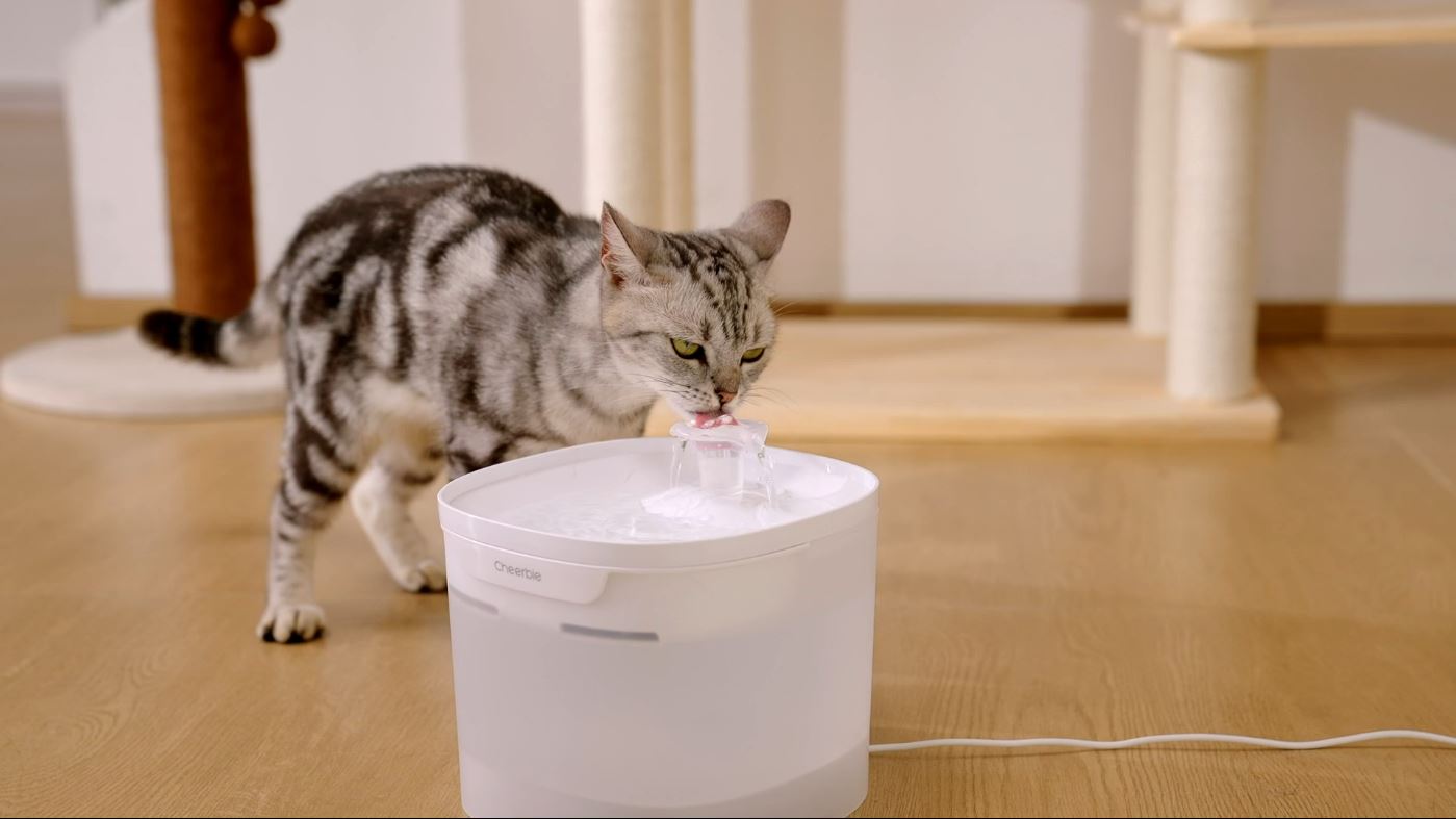 Cheerble Elfin E1 Lite Pet Water Fountain 2L for Cats and Dogs - USB DC 5V Powered (White) - Video