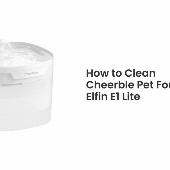 Cheerble Elfin E1 Lite Pet Water Fountain 2L for Cats and Dogs - USB DC 5V Powered (White) - How to Clean Video