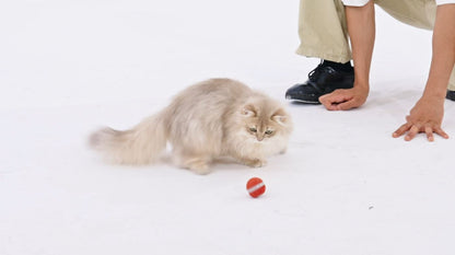 Cheerble M3 Mini Cat Ball Interactive Smart Cat Toy (Vintage Red) - Video - SavvyBadger.co.nz