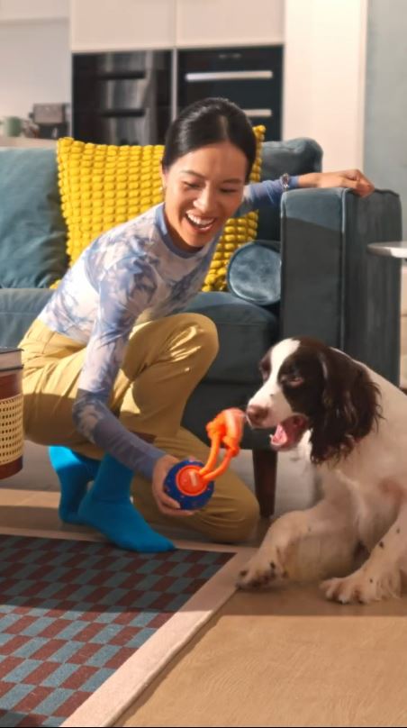 Cheerble Wicked Ball Rolly Interactive Dog Ball Smart Dog Toy (Royal Blue) - Video 3