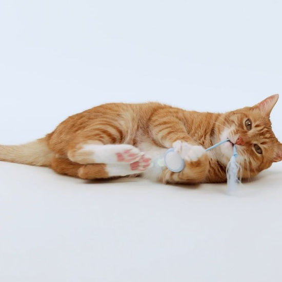 Cheerble Wicked Mouse Neo Interactive Smart Cat Toy Milky Blue - 5957 6971883205957 Video - SavvyBadger.co.nz