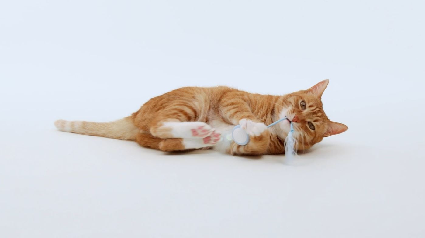 Cheerble Wicked Mouse Neo Interactive Smart Cat Toy Milky Blue - 5957 6971883205957 Video - SavvyBadger.co.nz