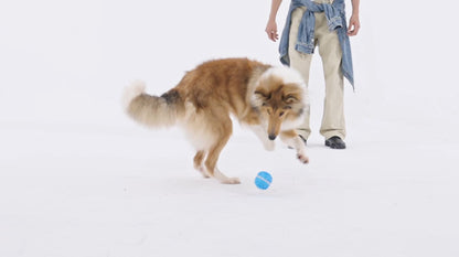 Cheerble Wicked Ball Cyclone All-Terrain Dog Ball Smart Dog Toy Wickedball (Blue)