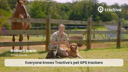 Tractive Dog 6 GPS Tracker (Black) for Dogs | Subscription Required