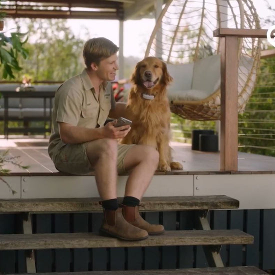 Tractive_DOG_GPS_Trackers_Video_SavvyBadger.co.nz