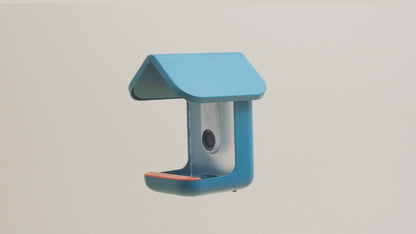 Birdbuddy 3-in-1 Nutrition Set for Smart Bird Feeder - Fruit Spike - Jelly Tray - Water Fountain (Blue)