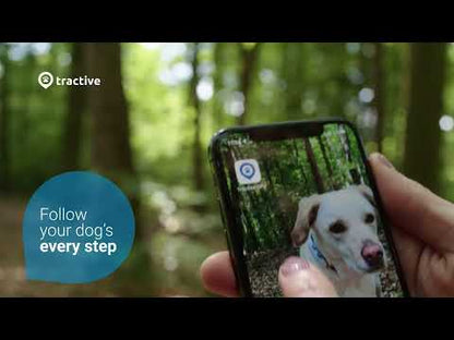 Tractive DOG XL GPS Tracker with Extended Battery Life (Green) for Dogs | Subscription Required
