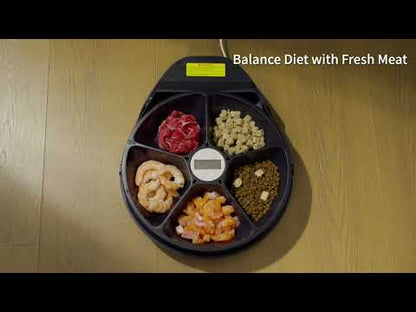 UB Pet by Pettecc Smart Refrigerated Feeder F10 for Cats & Dogs (UBF10)