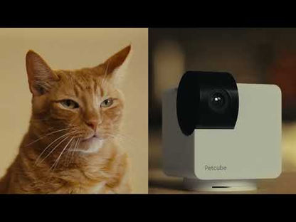 Petcube Cam 360 WiFi 1080p with Night Vision | Cat & Dog Pet Monitoring Camera
