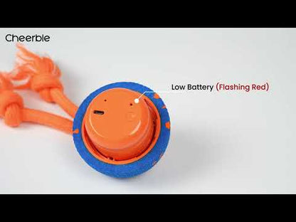 Cheerble Wicked Ball Rolly Interactive Dog Ball Smart Dog Toy (Royal Blue)