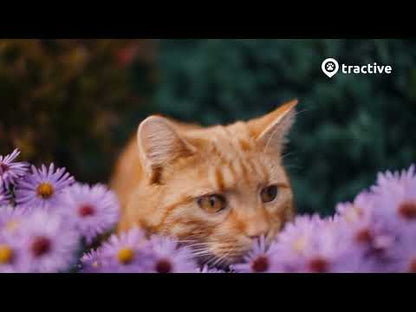Tractive CAT Mini - GPS & Health Tracker for Cats - SavvyBadger.co.nz