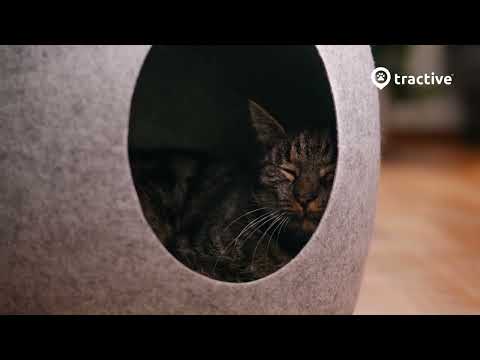Tractive GPS Cat Mini - GPS Tracker - SavvyBadger.co.nz